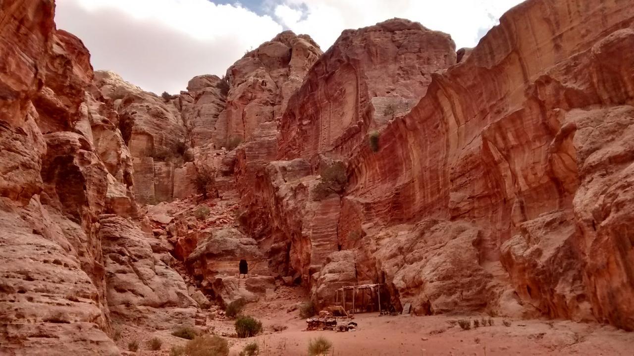 Petra Bedouin Bed And Breakfast Wadi Musa Exterior photo